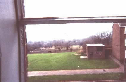 Deidre's Window