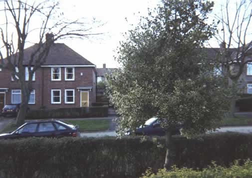 Meg's House
